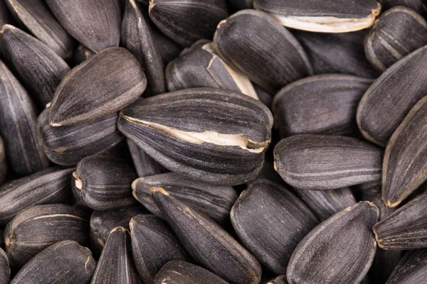 Sunflower seeds background — Stock Photo, Image