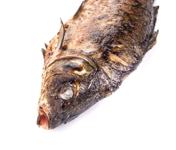 One Fried fish half — Stock Photo, Image