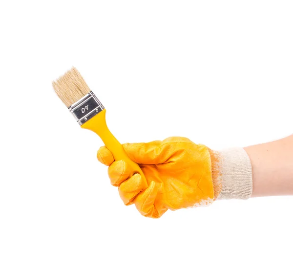 Hand in glove holds brush. — Stock Photo, Image