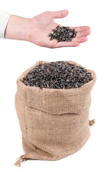 Sunflower seeds  in sack — Stock Photo, Image