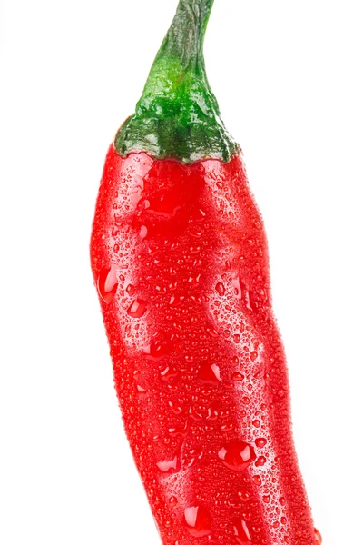 Κόκκινο πιπέρι τσίλι. — Φωτογραφία Αρχείου