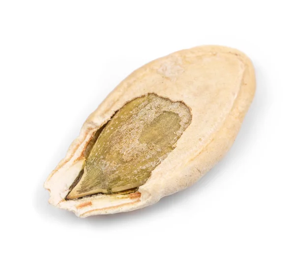 Pumpkin seed close up. — Stock Photo, Image