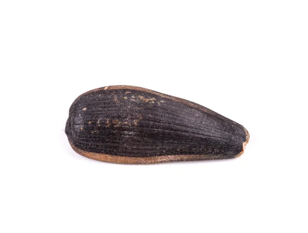 Black Sunflower seed — Stock Photo, Image