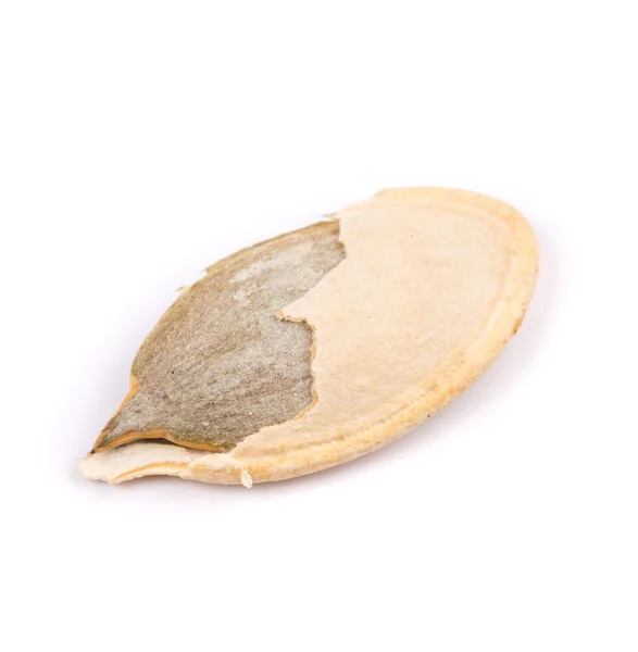 Single pumpkin seed — Stock Photo, Image