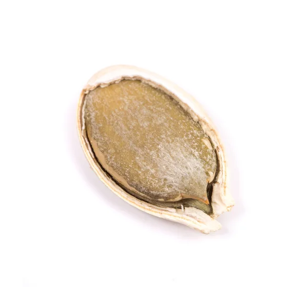 Single pumpkin seed — Stock Photo, Image