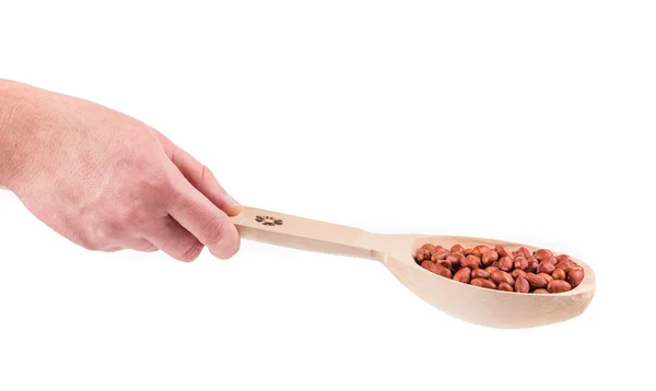 Colher de madeira com amendoins na mão . — Fotografia de Stock