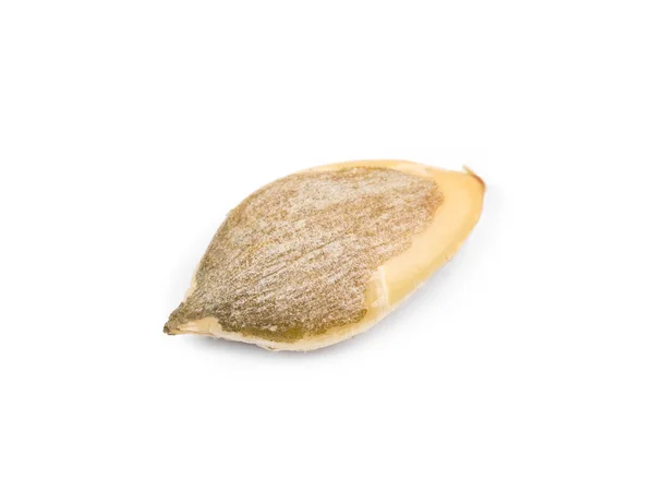 Single pumpkin seed — Stock Photo, Image