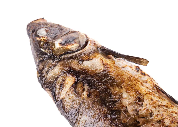 Grilled carp fish head. — Stock Photo, Image