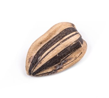 Açılan ayçiçeği tohumu yakın çekim.