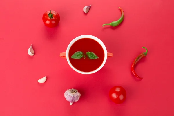 Frische Tomatensuppe — Stockfoto