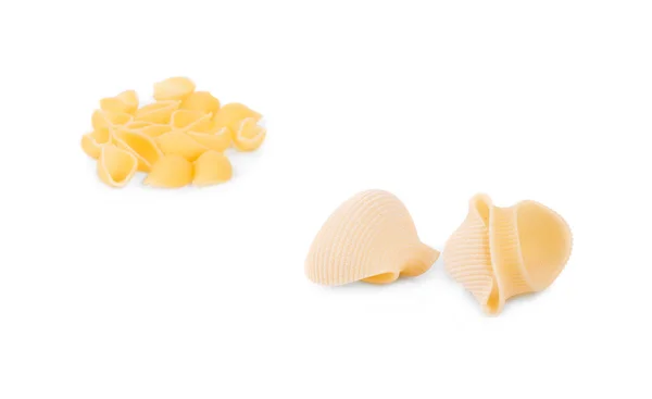 Italiensk pasta snäckor. — Stockfoto