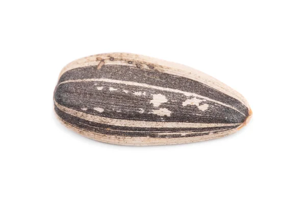 Close up de sementes de girassol abertas . — Fotografia de Stock