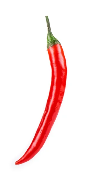 Rode chili peper. — Stockfoto