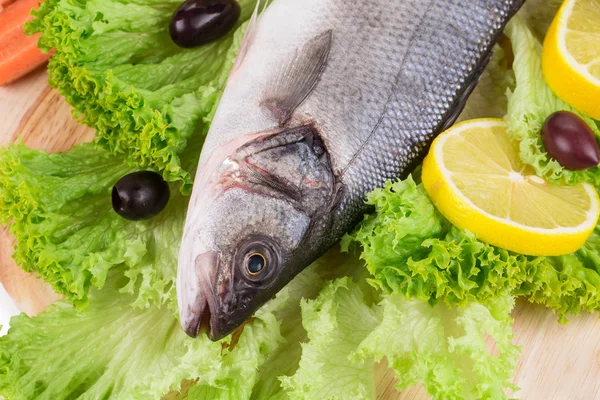 Pescado fresco de lubina sobre lechuga . — Foto de Stock