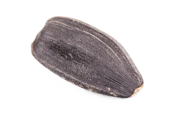 Sunflower seed on a white background — Stock Photo, Image