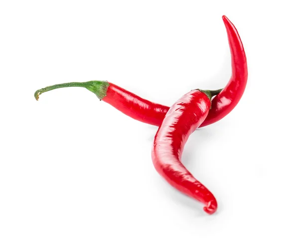 Two red chili peppers. — Stock Photo, Image
