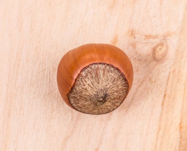 Close up van kastanje op hout. — Stockfoto