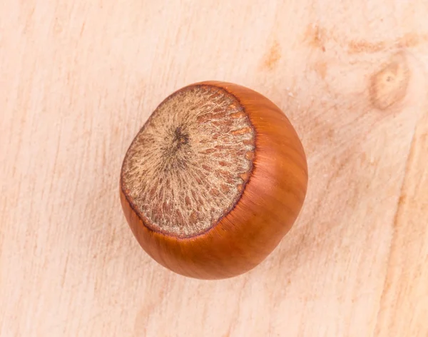 Close up of chestnut on wood. — Stock Photo, Image