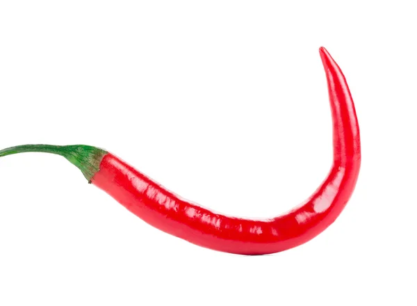 Rode chili peper. — Stockfoto