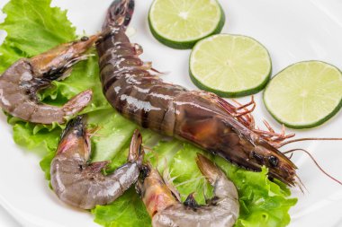 Çiğ kaplan karidesi