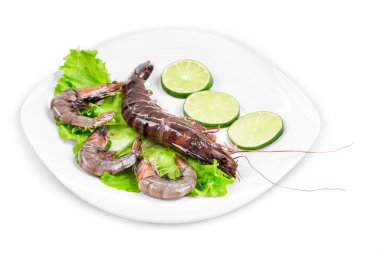 lezzetli taze karides