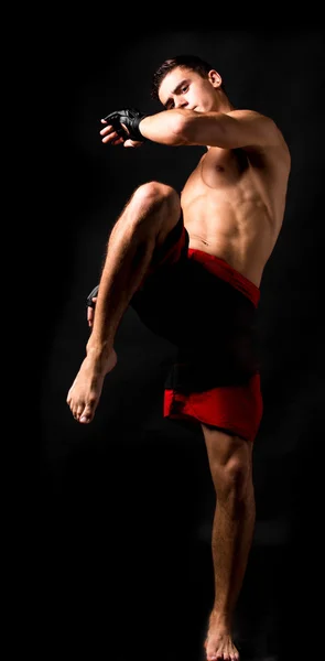 Boxer posando em estúdio — Fotografia de Stock