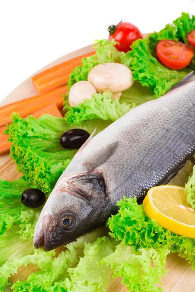 新鲜的海鲈鱼配蔬菜的组成 — 图库照片