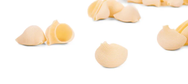 Close-up of Italian pasta shells. — Stock Photo, Image