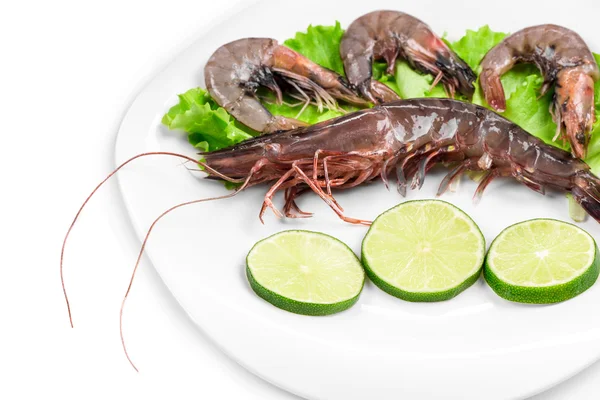 Delicious fresh shrimps — Stock Photo, Image