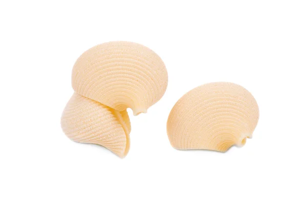 Close up of pasta shells. — Stock Photo, Image