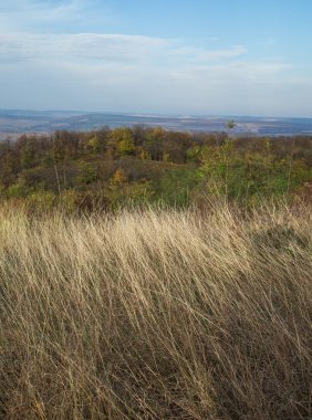 Güzel sonbahar manzarası 