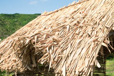 kulübe thatched çatı 