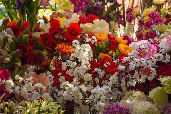 Bloeiende flowerbed closeup — Stockfoto