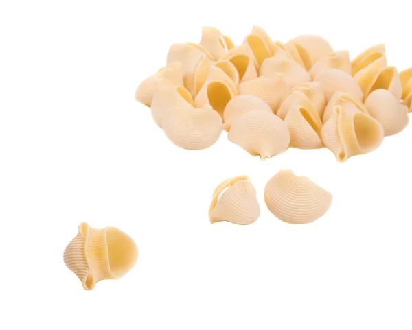 Primer plano de las cáscaras de pasta italiana . —  Fotos de Stock