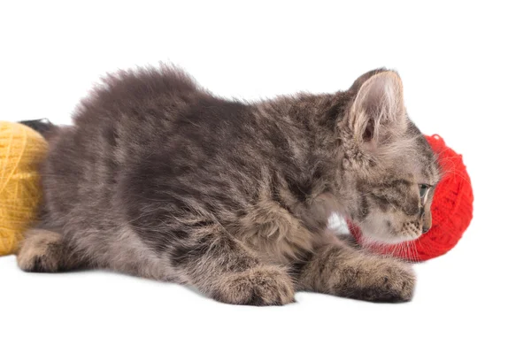 Mały kociak z czerwoną kulkę waty. — Zdjęcie stockowe
