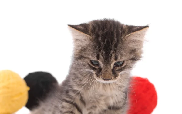 Little kitten with balls of wool. — Stock Photo, Image