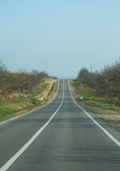 Route de campagne longue — Photo