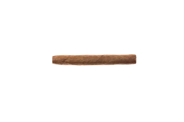 Fine cigar on white — Stock Photo, Image