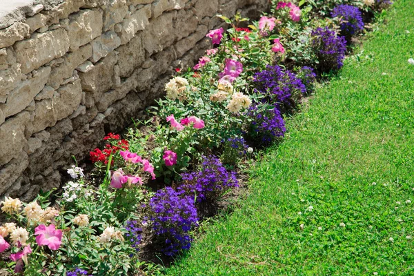 Macizo de flores multicolor en un césped — Foto de Stock