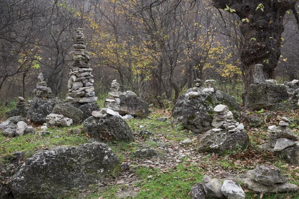 Tief vernebelter Wald — Stockfoto