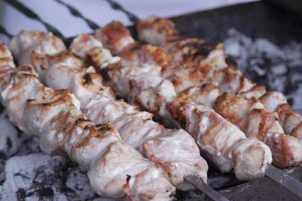 Appetizing fresh meat shish kebab. — Stock Photo, Image
