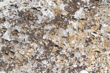 eski duvar taş olan. 