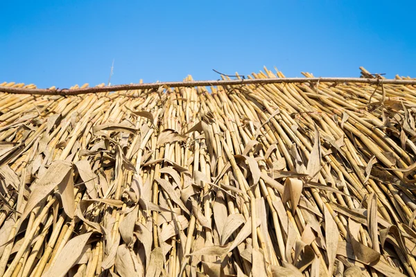 Thatched roof at the hut — Stock Photo, Image