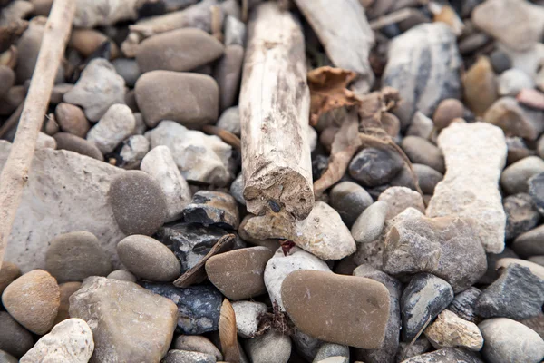 Pequenas pedras cinzentas — Fotografia de Stock