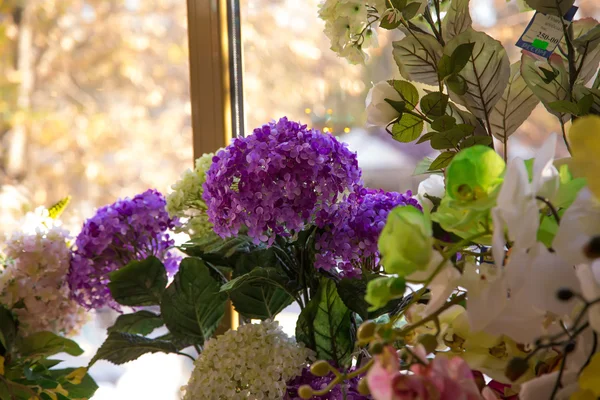 Primer plano de hermosas flores. — Foto de Stock