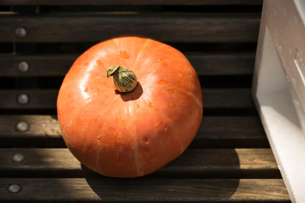 Pumpkin on rural background — Stock Photo, Image