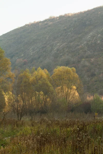 Vale arborizado com colina no outono — Fotografia de Stock