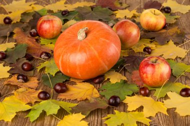 Kabak, appleas ve kestane