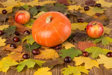 Kabak, appleas ve kestane