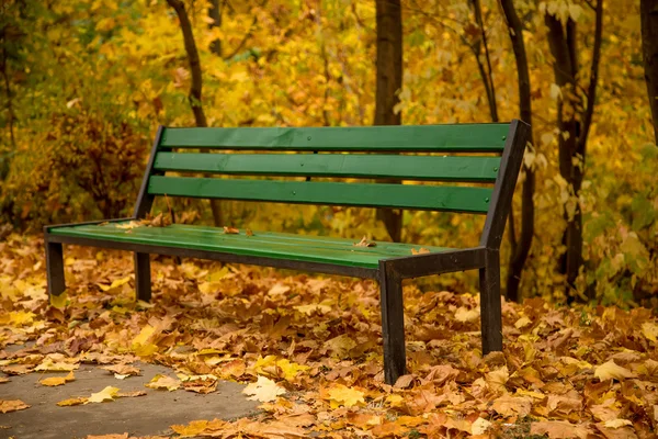 Banco verde em um parque dourado — Fotografia de Stock